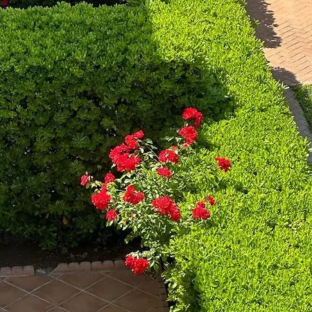 Appartement La Rosaleda 17