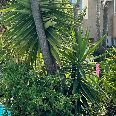 Apartment La Rosaleda 17 Dénia