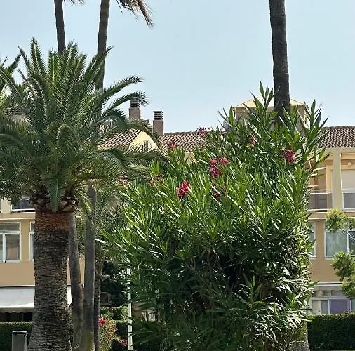 La Rosaleda 17 Dénia