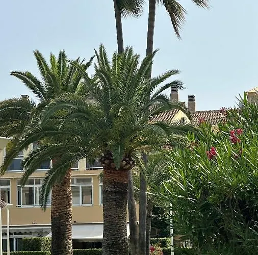 La Rosaleda 17 Dénia